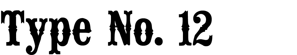 A Civil War style font called "Type No. 12" from the Walden Font Co. It is part of the Civil War Press set of fonts.